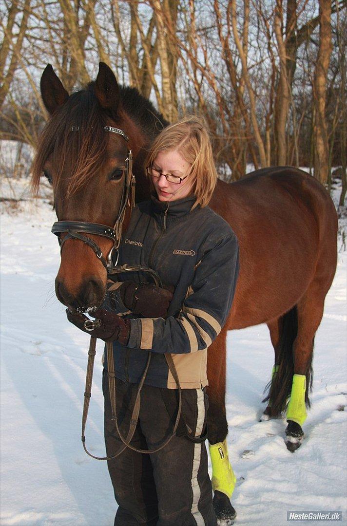 Traver Panic Hanover *guldklumpen* - Min smukke bamse og jeg! Februar 2012 billede 6