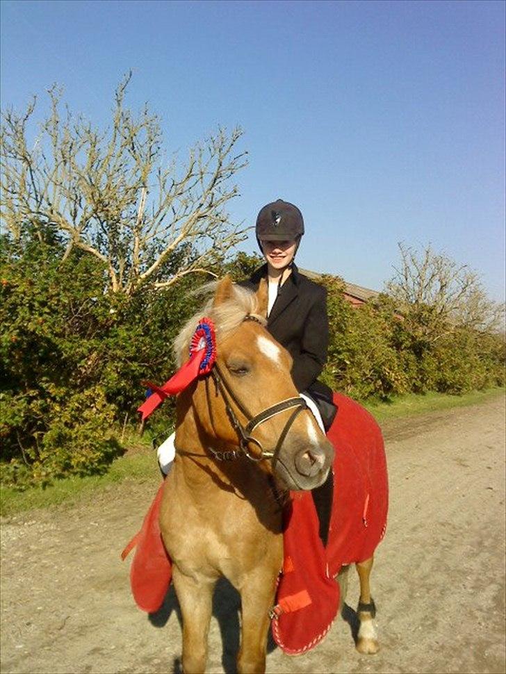 Anden særlig race Comet.<3 - Vores sidste stævne sammen. Det betyder virkelig meget for mig,  altså det her billede + dagene med ham. billede 20