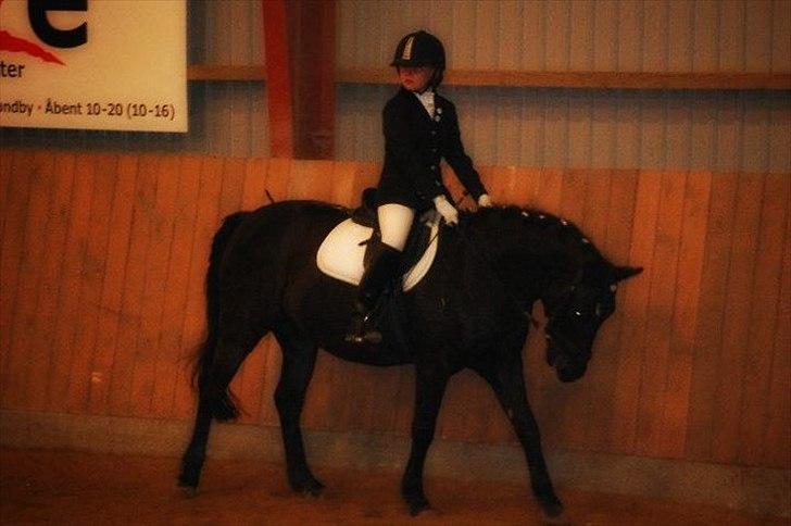 Anden særlig race Sorteper!!<3  - STÆVNE billede 12