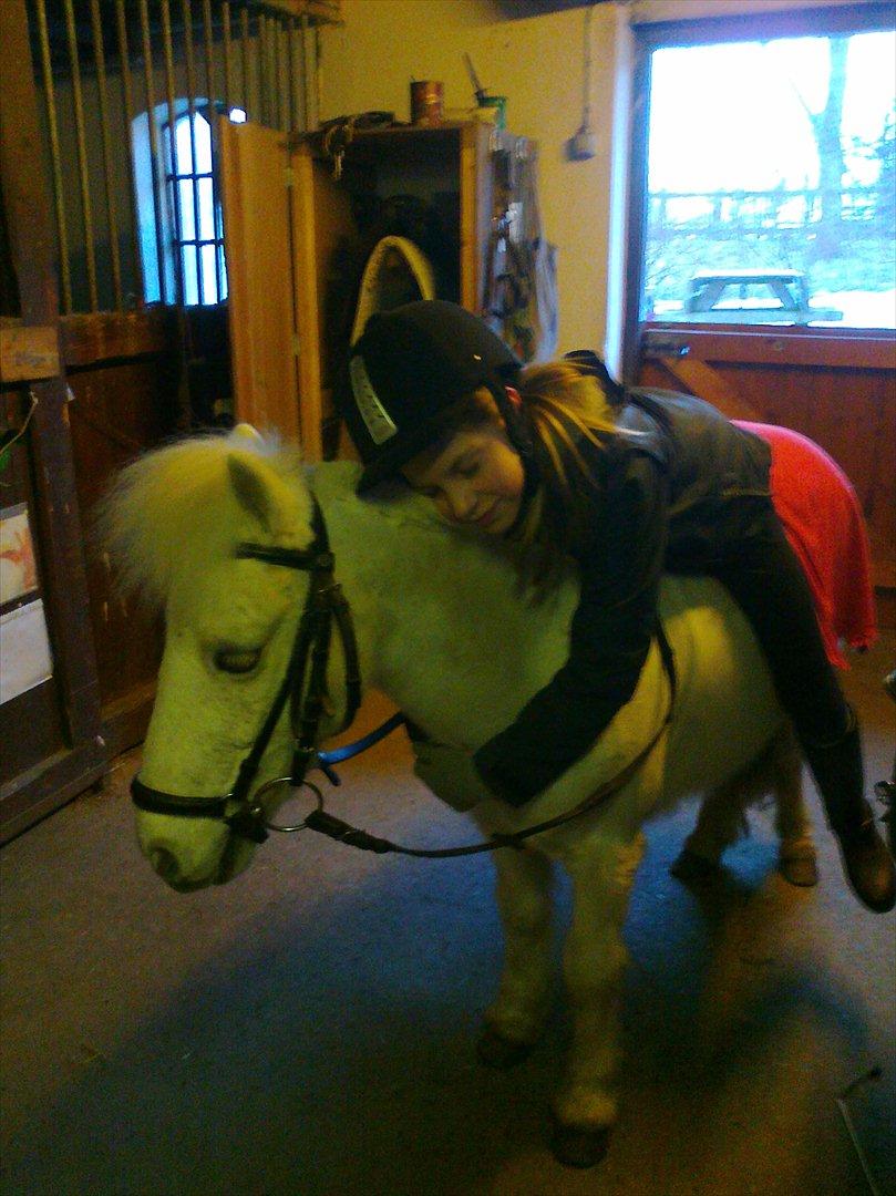 Anden særlig race Lilo - -vil ikke ned fra dig, min dejlige Lilo pige!
 
du er elsket!<3 
 billede 15