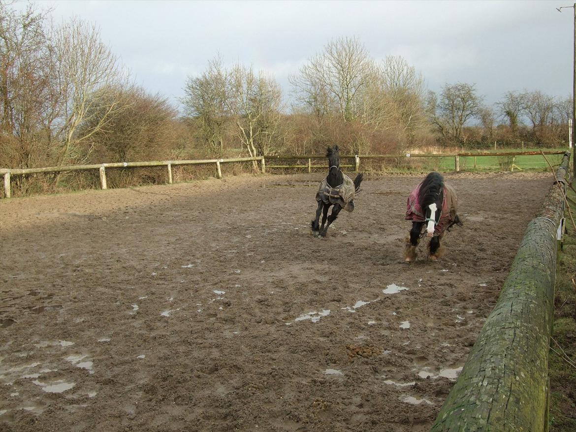 Frieser Temptation billede 13