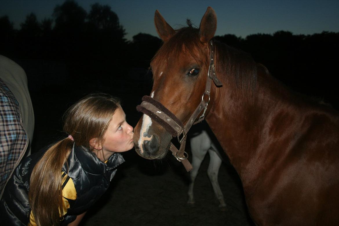 DSP Nørlunds Sacha - Møs til min babypony <3 billede 19