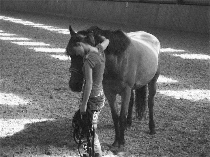 Anden særlig race Prinz billede 6