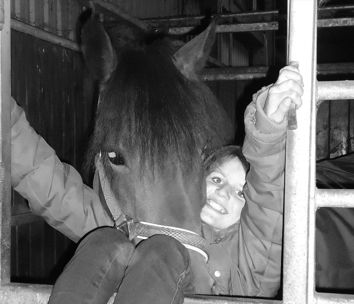 Anden særlig race Prinz billede 4