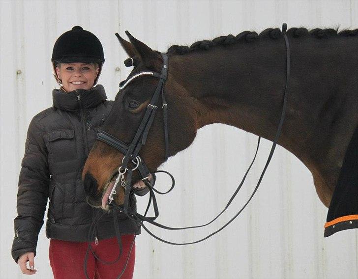 Dansk Varmblod Ny Ågårds Amoena  DULLEN B-Hest - billedet er taget af nanna busk billede 15