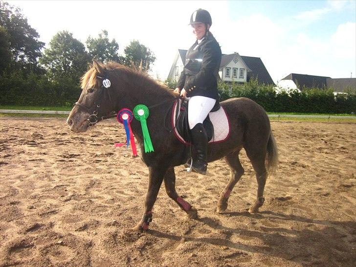 Anden særlig race Anton - Anton :*
ULC - roset
LC - 4.Plads <3 billede 14