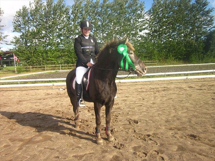 Anden særlig race Anton - Anton :* du har altid redet mig <3 i vores anden ULC gav du mig en roset :* Er så jaloux over dem der rider dig <3 billede 15