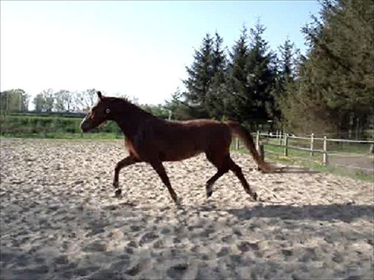 Frederiksborg <3 Melissa <3 billede 19