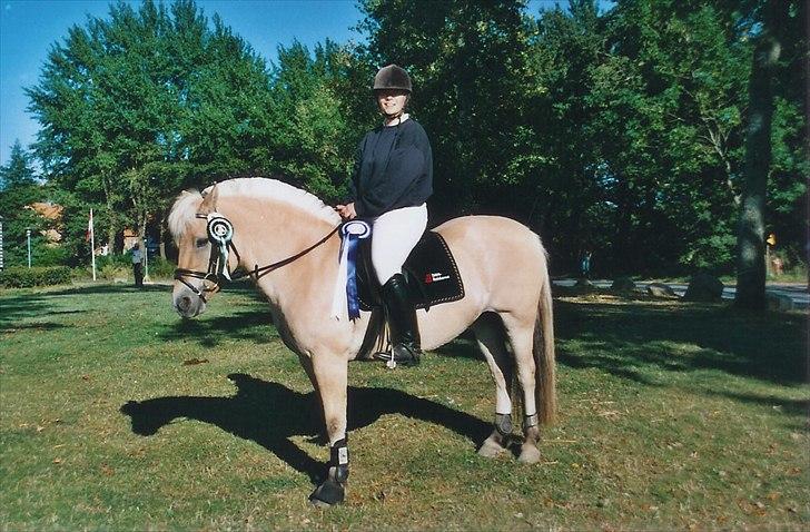 Fjordhest Strofe Stanstorp # Himmelhest - Strofe på Vilhelmsborg hvor hun blev nummer 3 i hold terræn billede 1