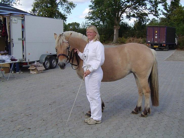 Fjordhest Strofe Stanstorp # Himmelhest - Strofe og jeg i det fine dress billede 9