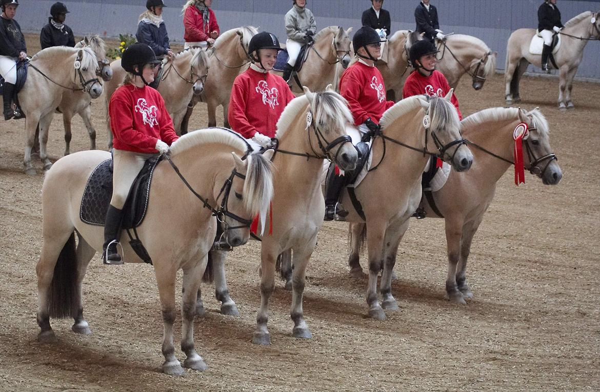 Fjordhest Strofe Stanstorp # Himmelhest - Vinder af hold terræn mesterskabet 2007 billede 10