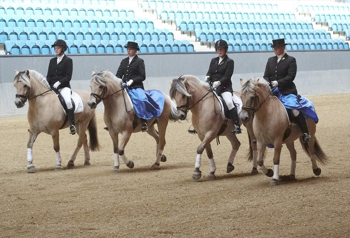 Fjordhest Strofe Stanstorp # Himmelhest - Show på Vilhelmsborg i 2007 billede 11