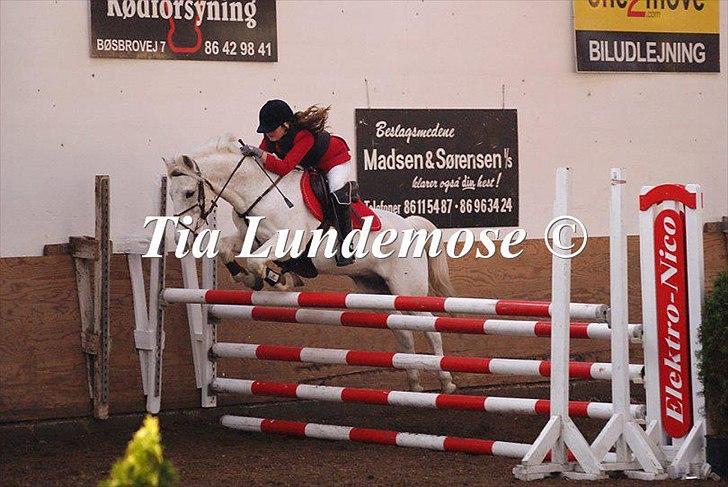 Anden særlig race Snowball - mig og snowball til sponsor spring 
jeg sprang 105 cm. da jeg ikke ture højere <3<3  billede 10