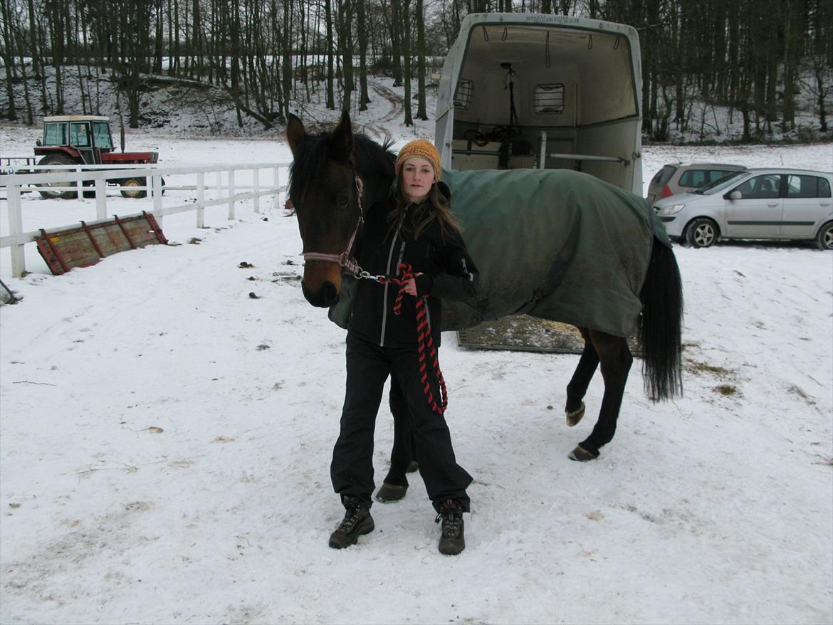 Anden særlig race Misty - Foto: Mor billede 2