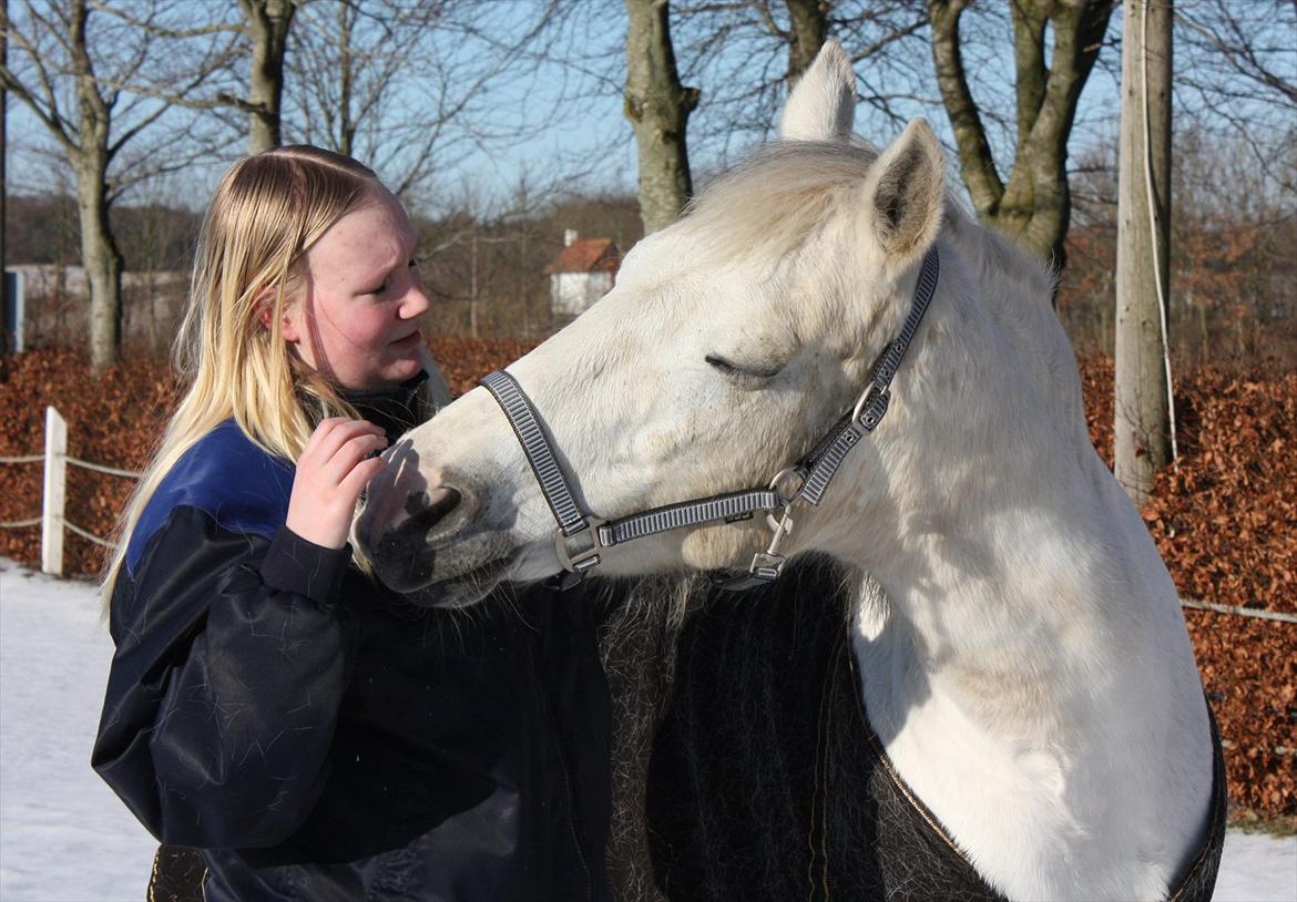 Pinto Marcia (elsket og savnet) billede 11