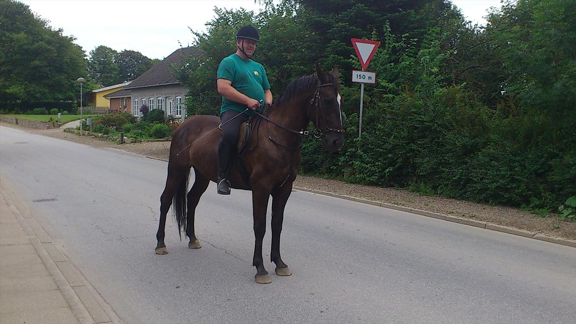 Anden særlig race Polly (min fars) - Hun er er bare så god til turridning :) billede 14
