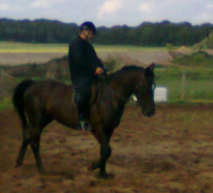 Anden særlig race Polly (min fars) - billedet er taget en månede efter hun kom hjem fra tilridning! :) billede 3