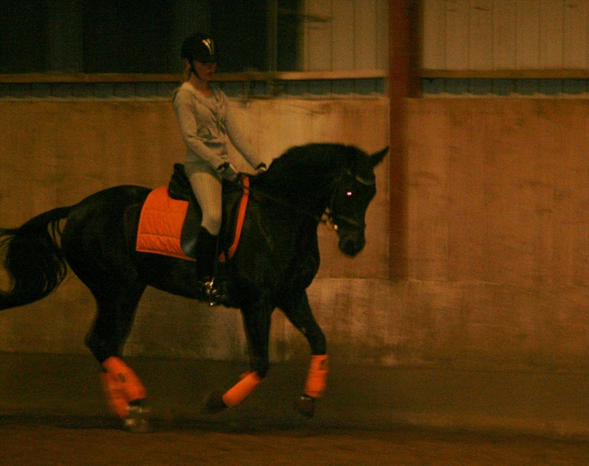 DSP Penny-Lady-Naddle - 4 eller 5 gang jeg rider hende taget af min far :) billede 5