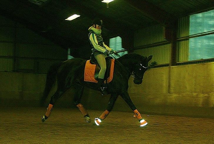 DSP Penny-Lady-Naddle - 12/2 taget af min mor billede 8