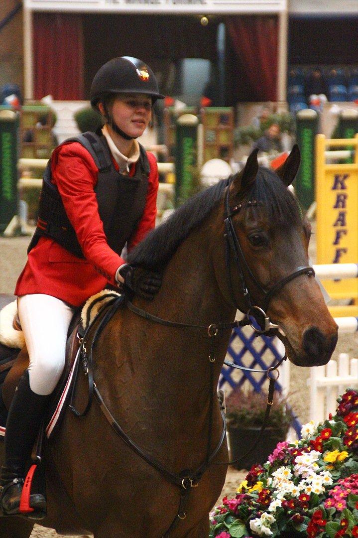 Dansk Varmblod Quatro - Søøde Q <3 120 CSI 3 plads <3 ;-*
Foto: Pernille Kirstine Bjerregård!:-D billede 9
