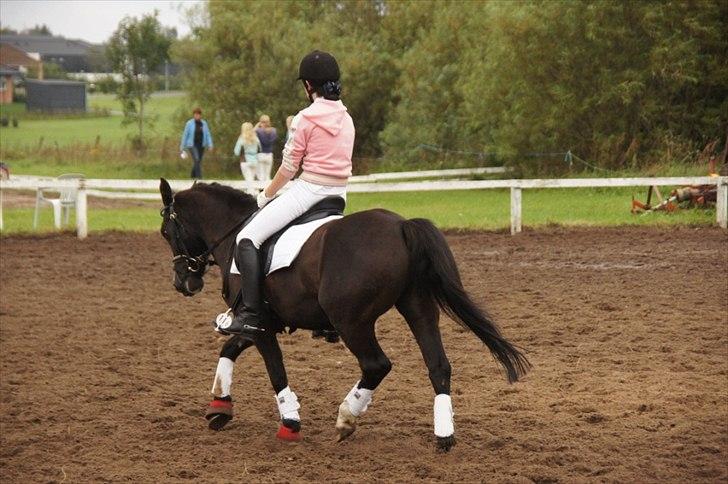 Anden særlig race Dusty(solgt) - Lille prut :-) billede 10