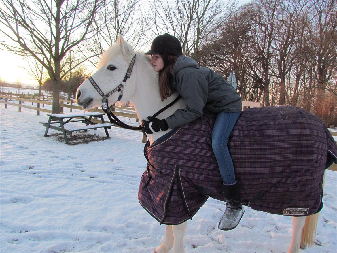 Anden særlig race Toffie - (NYT)Love you <3 billede 6