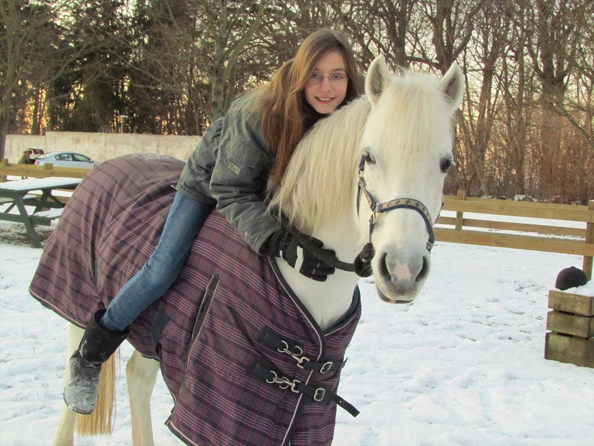 Anden særlig race Toffie - (NYT)trust,hope. but the love holdes us together <3 billede 14