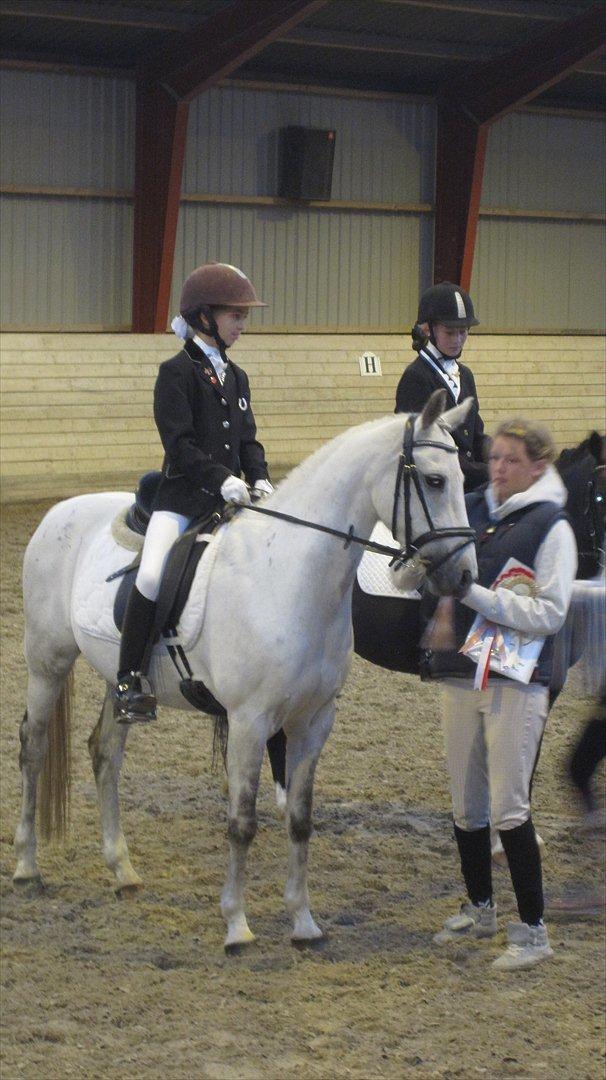 Anden særlig race Lykkelundens Moon Magic - Ø-Cup 2011 billede 1