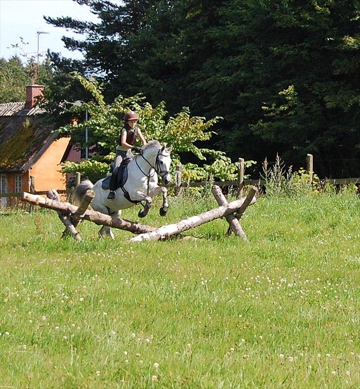 Anden særlig race Lykkelundens Moon Magic - Sommer 2011 billede 2