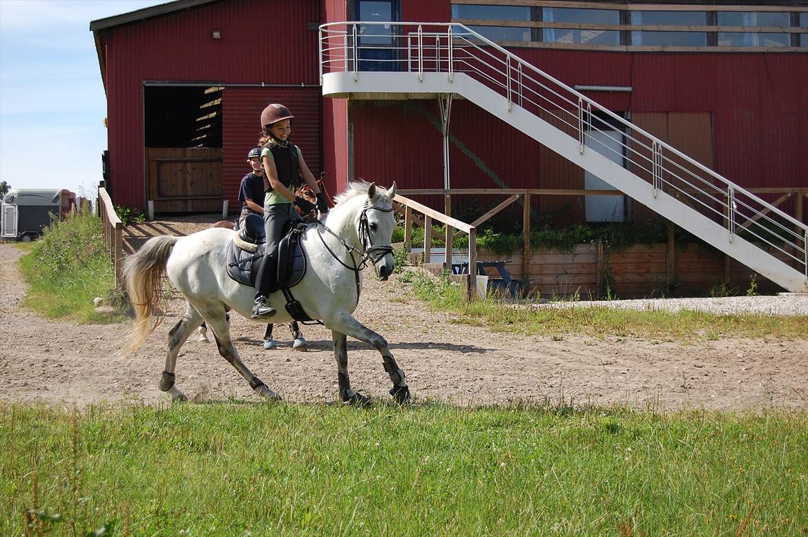 Anden særlig race Lykkelundens Moon Magic - En dejlig sommer billede 9