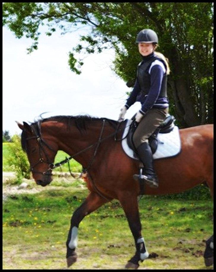 Polsk Varmblod Bajor - yndlinghest. - Jeg kan ikke andet end at smile, når jeg rider rundt på dig basse <3 billede 14