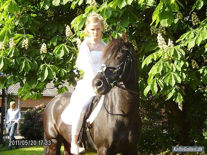 DSP Castella *SOLGT & SAVNET* - Castella til min konfirmation :) billede 2