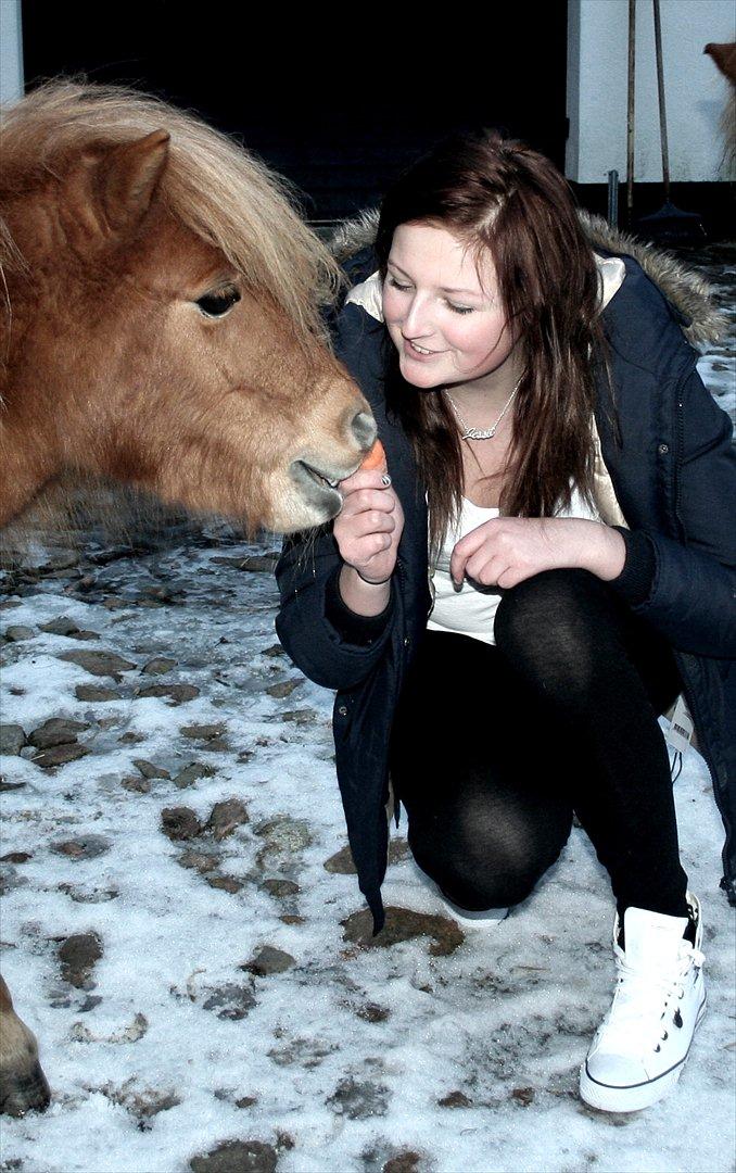Shetlænder Mads billede 5