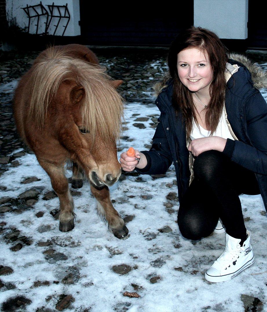 Shetlænder Mads billede 6