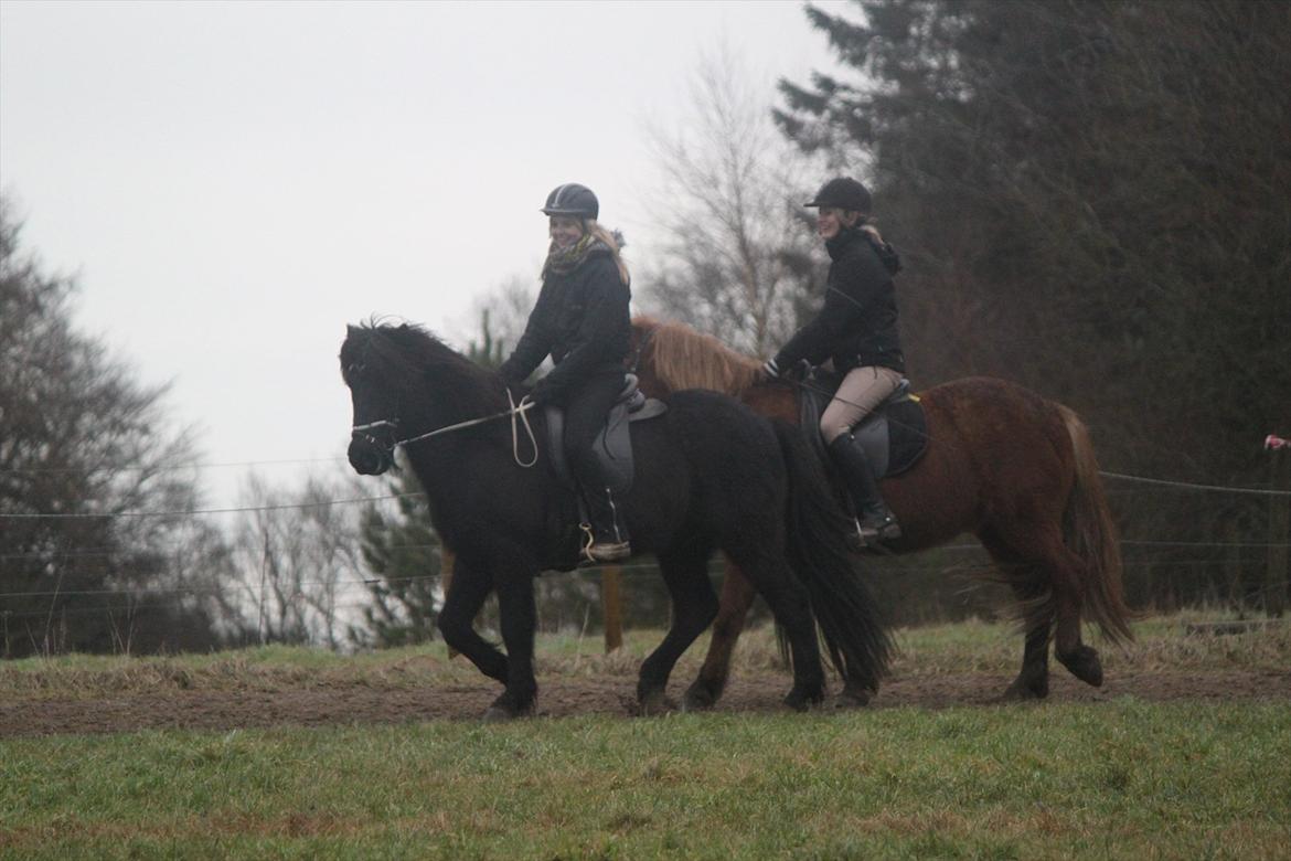 Islænder Ganti fra Døesbæk - I himlen med min søde stjerne og dejligste Caroline ♥  billede 19