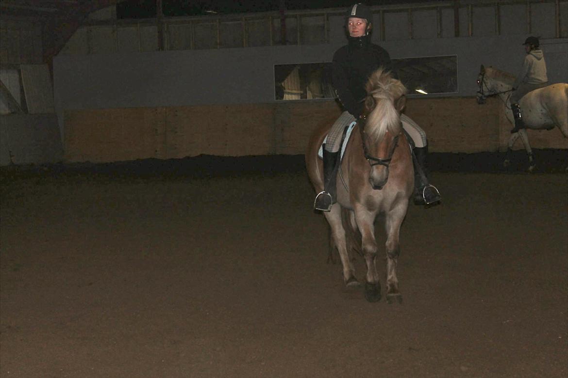Haflinger Duchess! <3  billede 7