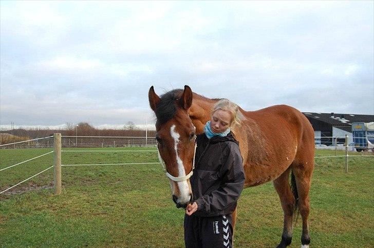 Anden særlig race Bob <3 (R.I.P :'( <3) - Savner dig basse :( billede 13