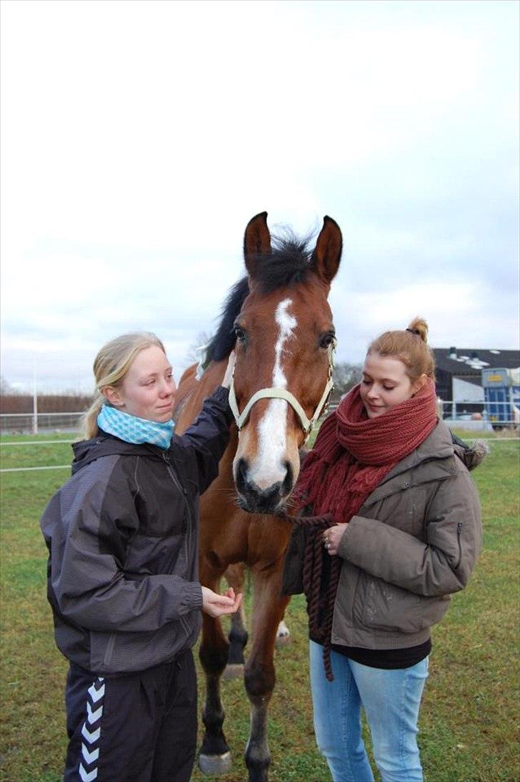 Anden særlig race Bob <3 (R.I.P :'( <3) - Last day :'( <3  billede 14