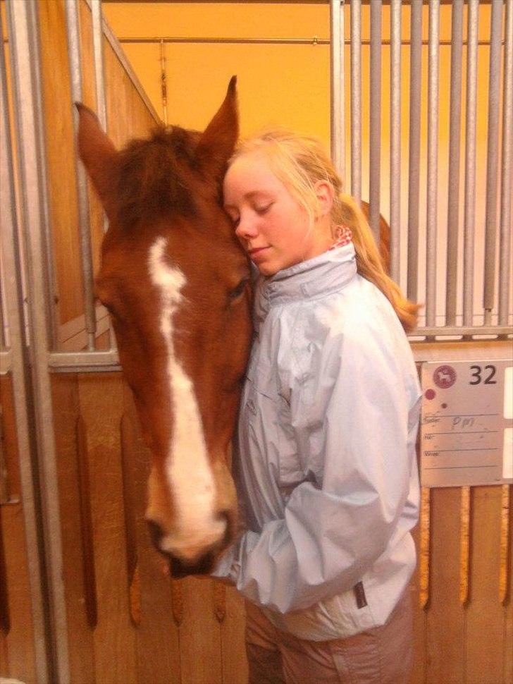 Anden særlig race Bob <3 (R.I.P :'( <3) - Besøg på KVL - Landbohøjskolen i Taastrup. <3 
Love.. <3  billede 9