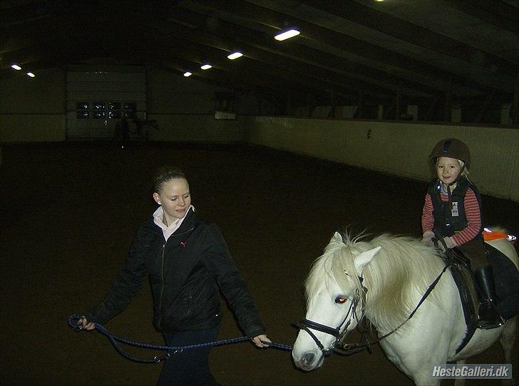 Anden særlig race Herkules - Annikas allerførste travetur på Herkules.- Hun er 3 år billede 5