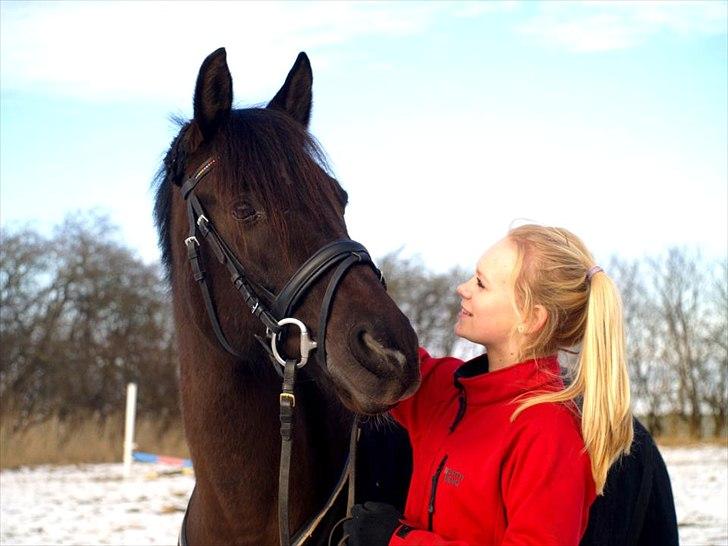 DSP Stidsbjergs Kawango - Kawango og jeg!<3
- Fotograf; Natascha Søgaard! Tak for billedet! billede 3