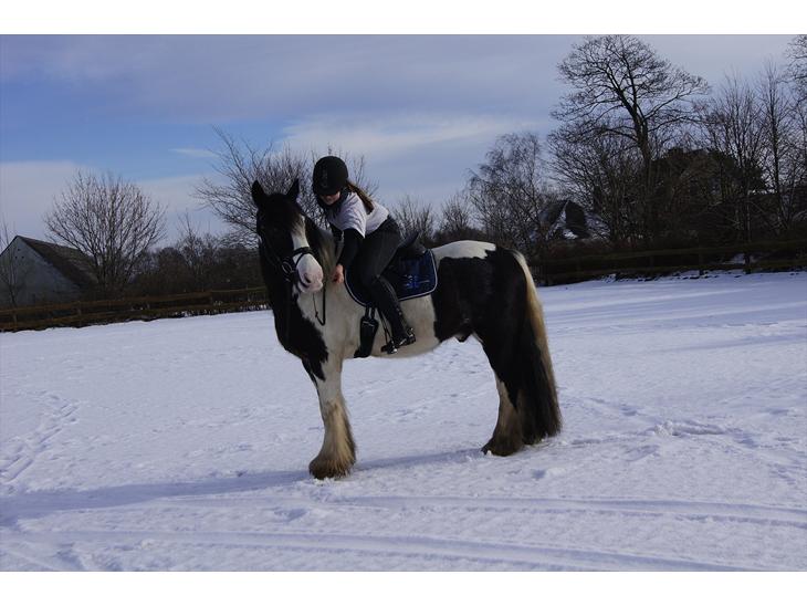 {{currentPhoto.altText}} billede {{currentPhoto.number}}