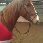 Frederiksborg Munkgaard´s After Midnight