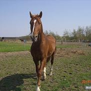 Frederiksborg Munkgaard´s After Midnight