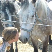 Connemara Siegård's Breezer