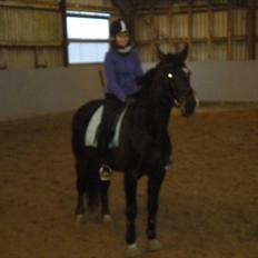 Anden særlig race Labell