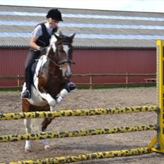 Anden særlig race Bilgårdens Kasmir
