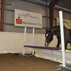 Oldenborg Cille May