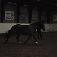 Oldenborg Cille May