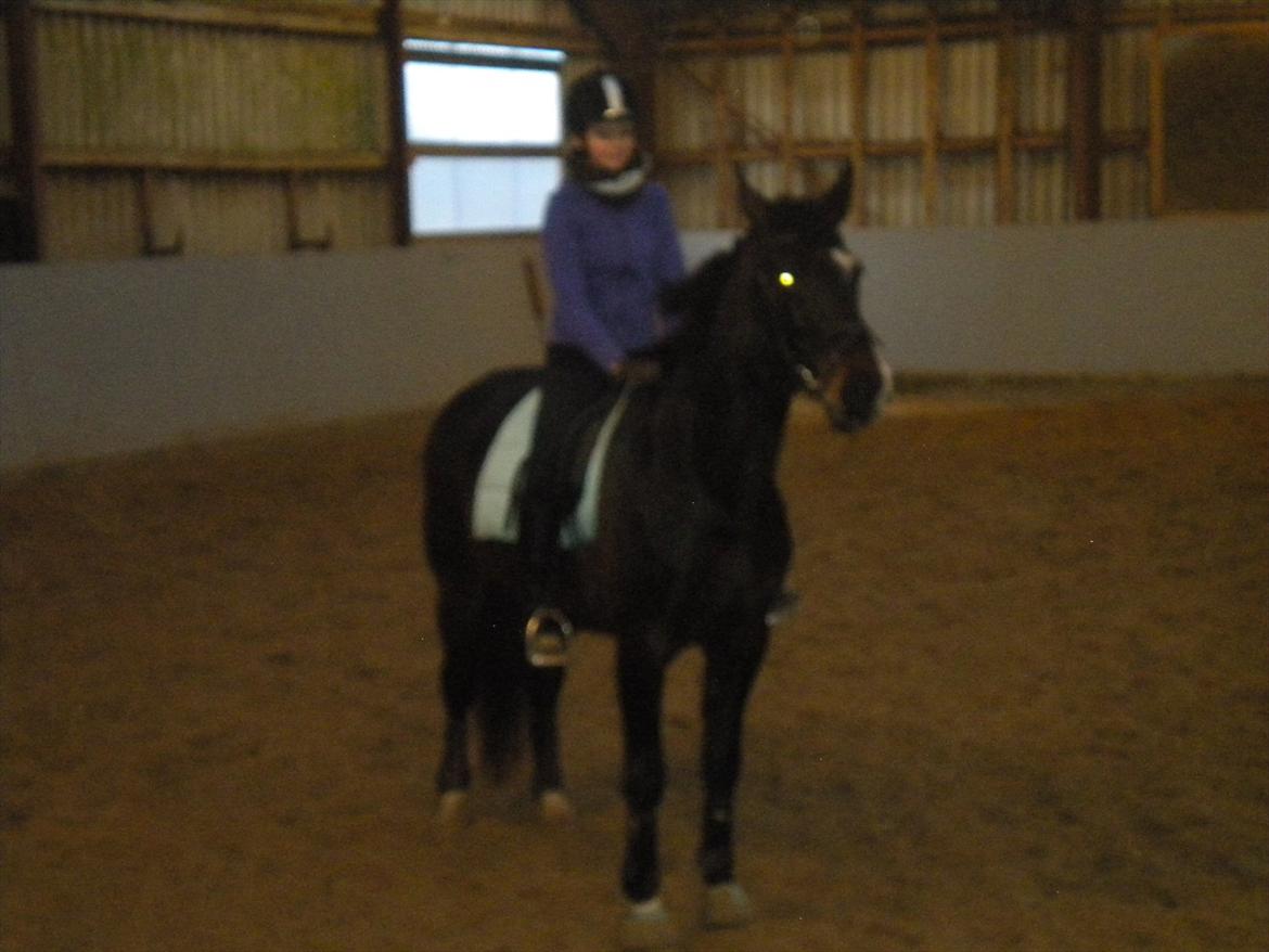 Anden særlig race Labell - Lige inden vi startede at ride billede 1